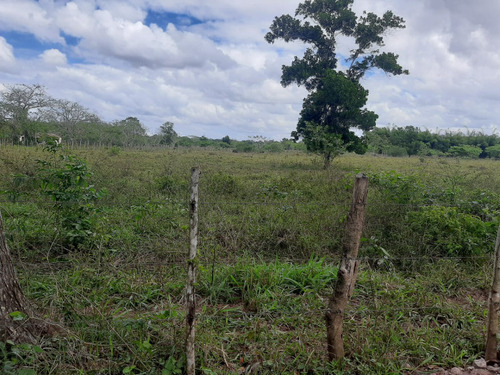 Vendo Finca En Bayaguana De 4,995 Tareas Tiene Mucha Agua Le Bordea El Rio Yavacao