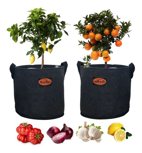 Imagen 6 de 10 de Mejor Maceta Tipo Smartpot Geotextil 7 Litros