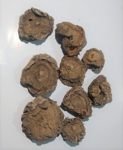 Té HIERBA DORADO en rodajas Característico 250 g