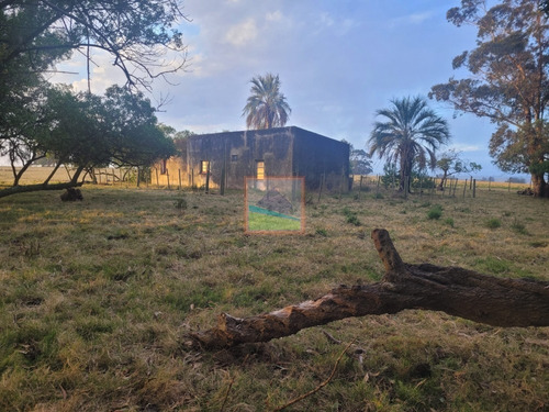 Imagen 15 de 23 de Chacra 10has Con Casa En José Ignacio