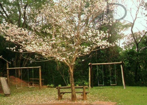 Imagem 12 de 12 de Terreno À Venda, 2649 M² Por R$ 630.000 - Condomínio Jardim Primavera - Louveira/sp - Te1656