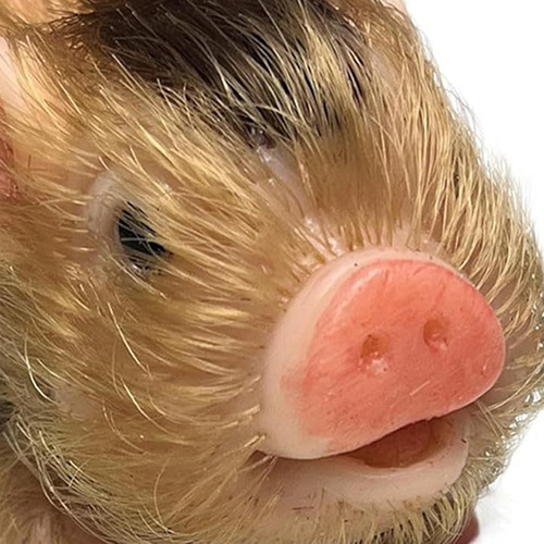 Pequeño Juguete De Cerdo Renacido, Divertido Estilo C