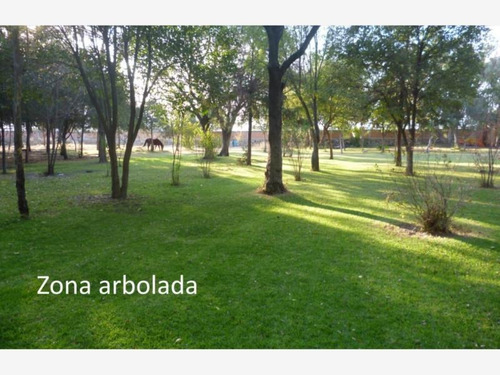 Imagen 7 de 12 de Terreno En Venta El Cid