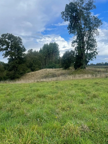 Parcela En Venta En Casa De Lata