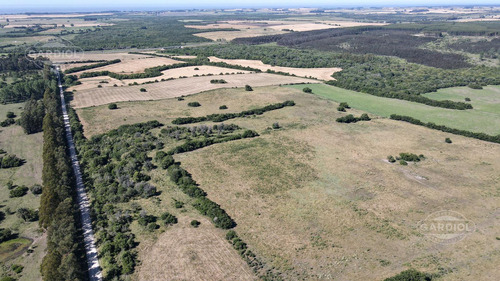 Venta De Campo En Paraje Minuano Colonia