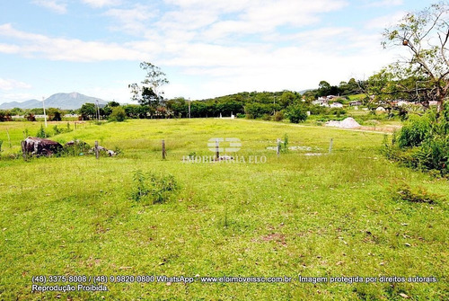 Imagem 6 de 22 de Terreno À Venda - Potecas, São José/sc - 3694