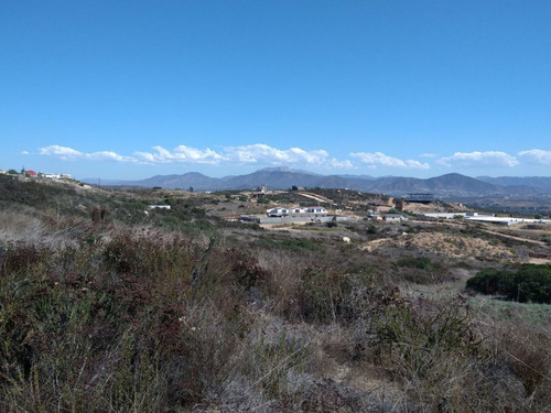 ¡terrenos En Valle De Gpe - San Antonio De Las Minas!