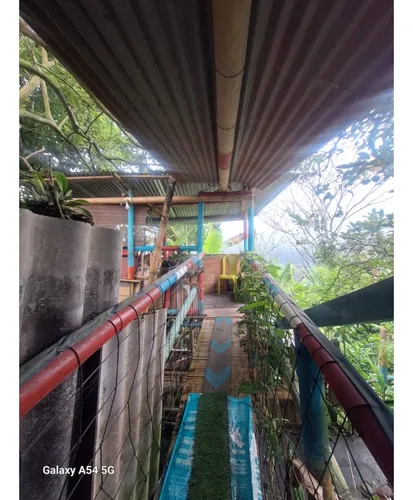 Venta Casa Campestre Salento. Quindío - Colombia Cod: 9054527