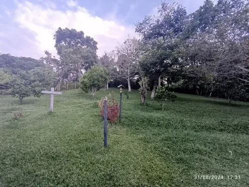 Vendo Finca En Otramina En Titiribí Suroeste Antioqueño De 2 Cuadras Topografía Plana