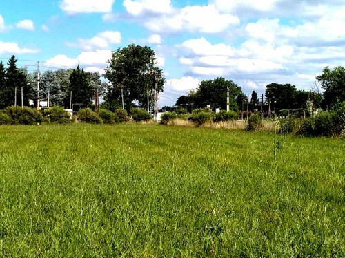 Imagen 6 de 12 de Venta De 4 Hectáreas En Villa Astolfi - Ideal Desarrollo