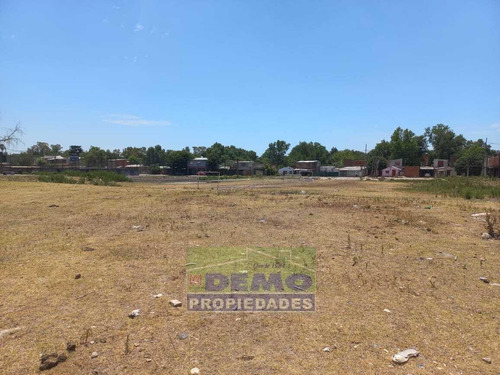Imagen 9 de 25 de Terreno - Pablo Nogues