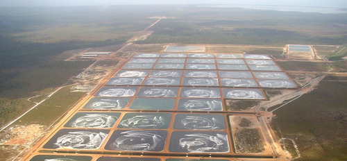 Imagen 1 de 5 de Servicios Acuicola Acuicultura Insumos Equipos