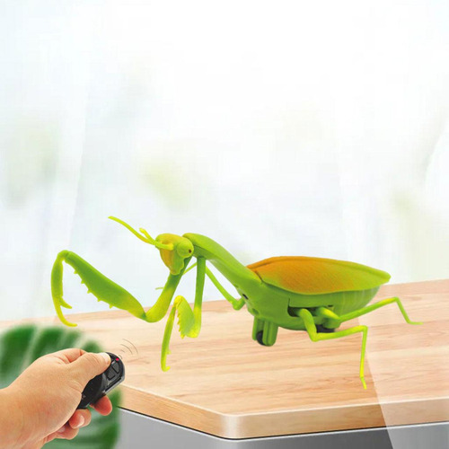 Novidade Rc Brinquedos De Festa Divertidos Mini Louva-deus