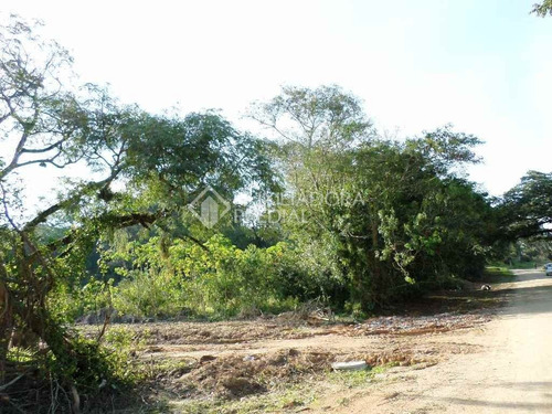 Imagem 2 de 10 de Terreno - Belem Novo - Ref: 226051 - V-226051