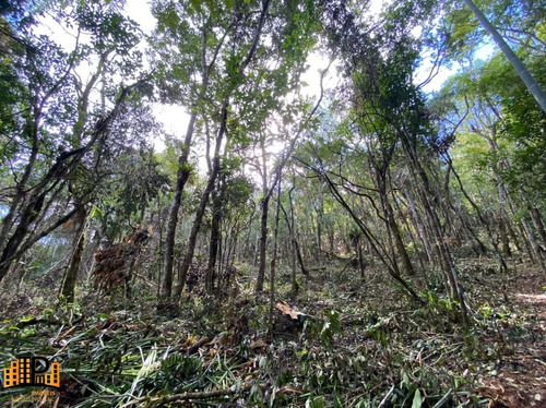 Chácara À Venda 2.749,43m2 Estrada Da Barrinha - São Lourenço/sp - Ch07782 - 69485090