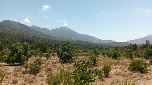Terreno De 6 Hectáreas Con Derechos De Agua, Caleu