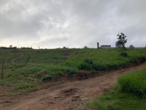 Imagem 3 de 6 de Terreno À Venda Na Rua Carlo Caproli, Jardim Vera Cruz(zona Sul), São Paulo - Sp - Liv-7626