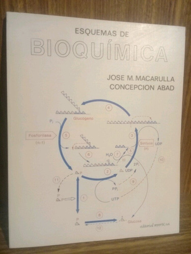Esquemas De Bioquímica - Macarulla