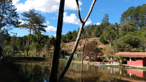 Imagem 3 de 14 de Excelente Chácara Com Lago Cod: 4331