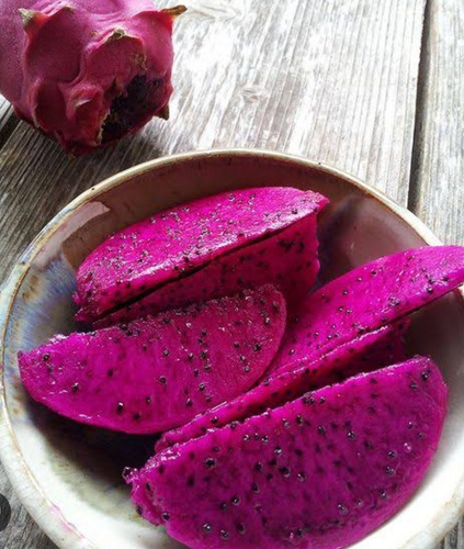2 Pitahaya Cactus (dragón Fruit) Para Jardin O Huerto Pitaya