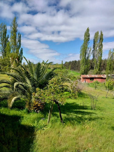 Terreno Con Una Superficie 11,27 Ha,  Topografía Combinada