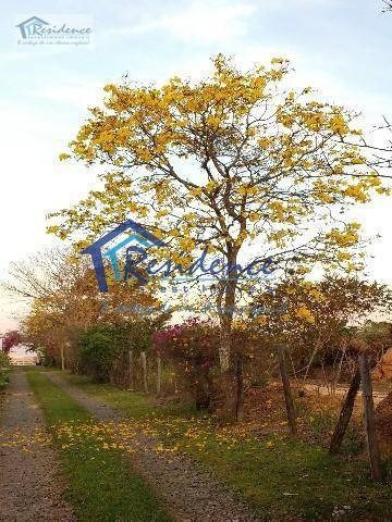 Imagem 26 de 27 de Sítio Com 4 Dormitórios, 29000 M² - Venda Por R$ 2.500.000,00 Ou Aluguel Por R$ 9.600,00 - Centro - Elias Fausto/sp - Si0002