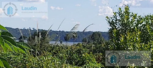 Imagen 5 de 7 de Se Vende Chacra De 10 Hectáreas Con 9 De Yerba En Corpus