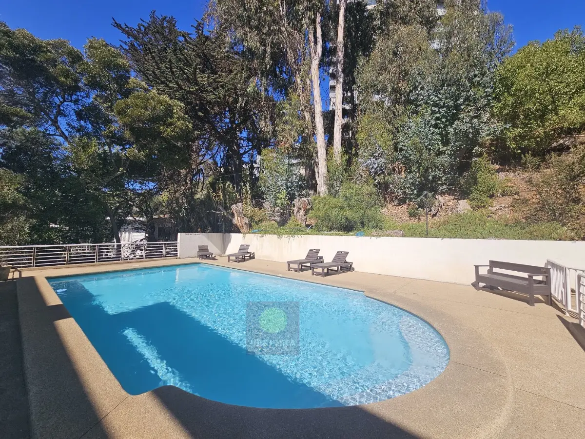 Imagen 4 de 13 de Departamento En Venta En Plan De Reñaca