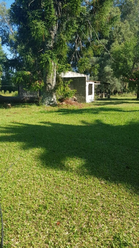 Imagen 5 de 13 de Venta 8,5 Has - San Jose - E.r.