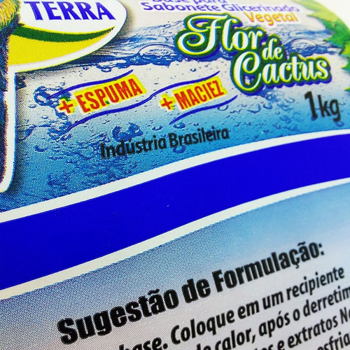 Imagem 10 de 10 de Base Glicerina De Cactus Branca Sabonete Nossa Terra Vegana