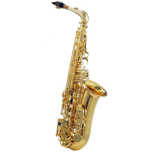 Saxofone Alto Michael Wasm35 Com Acabamento Laqueado Acompan
