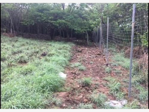 Imagen 1 de 3 de Terreno En Venta El Jobo