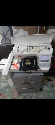 Máquina De Coser Borradora Brother Pe700 Sin Usb