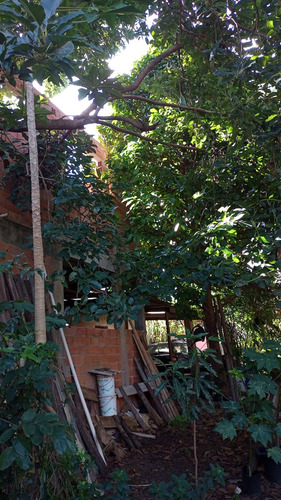 Casa Com 1 Quarto,cozinha Americana,1 Banheiro E Corredor