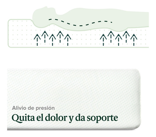 Imagen 6 de 8 de Colchón 1 Plaza Espuma Zinus Memory Foam 90x190x20cm