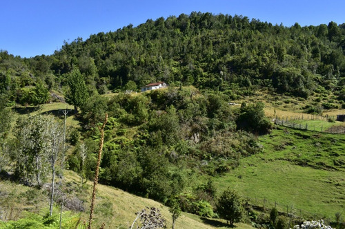 Imagen 14 de 16 de Hermoso Campo 30,32 Hectáreas Orilla De Mar, Cochamo