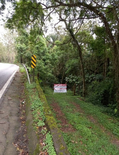 Imagem 14 de 15 de Chácara Em Mombaça, Itapecerica Da Serra/sp De 6000m² À Venda Por R$ 150.000,00 - Ch2328234-s