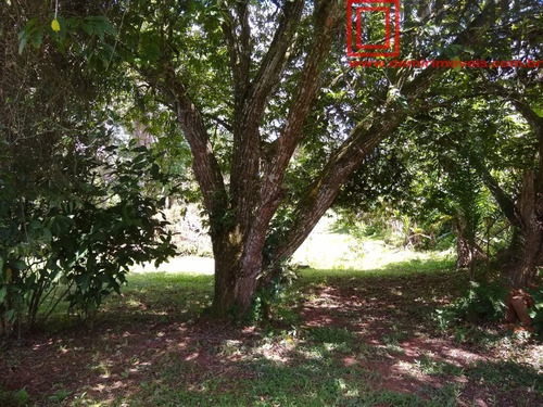 Imagem 4 de 12 de Terreno - Te00008 - 69258914