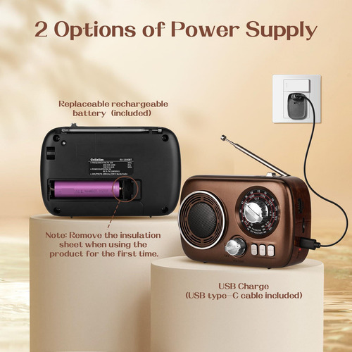 Radio Portátil Retro Am/fm/sw Con Usb Y Carga Por Usb