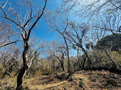Venta Terreno Comunal Tepoztlan Morelos