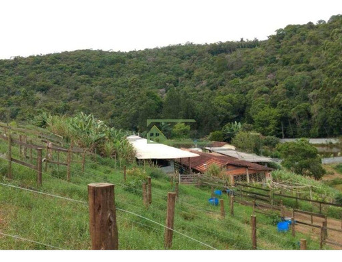 Imagem 3 de 17 de Sítio Com 1 Dormitório À Venda, 24000 M² Por R$ 380.000,00 - Verava - Ibiúna/sp - Si0167