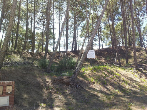Imagen 2 de 5 de Lote Venta Pinamar