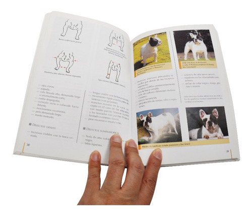 Imagen 3 de 4 de Libro El Bulldog Francés Guía De Referencia