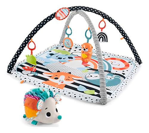 Academia de atividades musicais 3 em 1 Fisher-price Baby