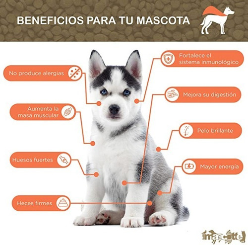 Imagen 3 de 5 de Alimento Premium Iron Red Dog 20 Kg