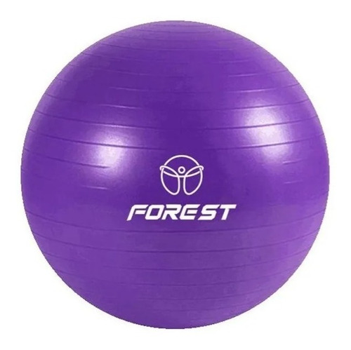 Pelota Yoga Ball Esferodinamia 65 Cm Gym Pilates Fit