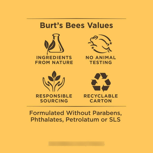 Imagen 3 de 5 de Bálsamo Labial Burt's Bees Limon Jengibre