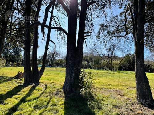 Lote Terreno En Venta 840 M2 - Parques Del Morenito, Moreno Norte