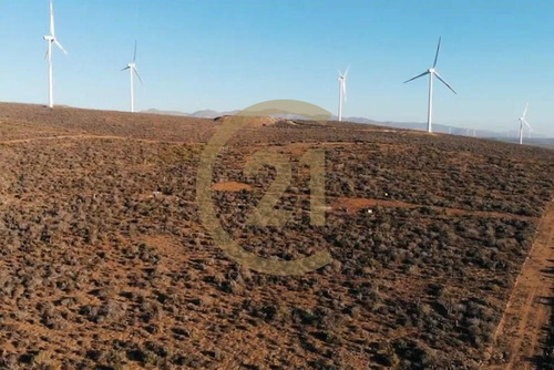 Hermosa Parcela Entre Tongoy Y Los Vilos.