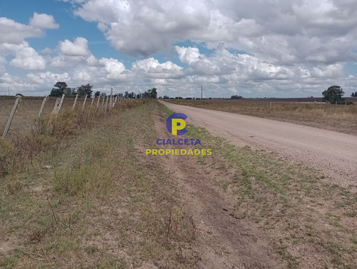 Imagen 4 de 13 de 7 Hectáreas Y Media Con Casa A Terminar